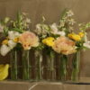 Peonie                    Yellow/Pink